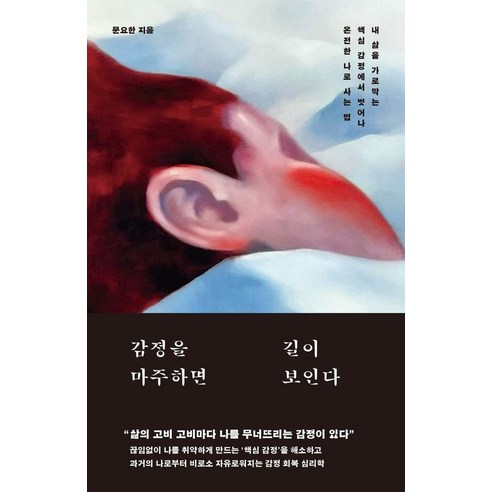 감정을 마주하면 길이 보인다:내 삶을 가로막는 핵심 감정에서 벗어나 온전한 나로 사는 법, 서스테인, 문요한