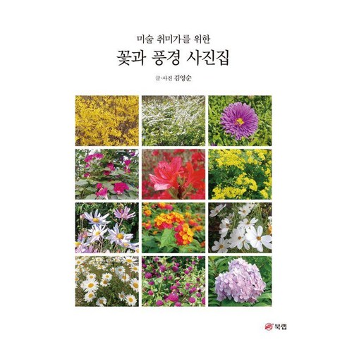 미술 취미가를 위한꽃과 풍경 사진집, 북랩, 김영순