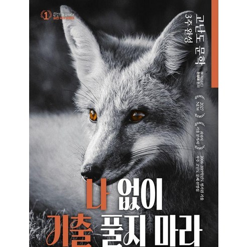 [대성SNC]전형태 나기출 평가원 수능 국어 고난도 문학 과외식 기출문제집 (2026년) (2027년 수능대비), 상세참조