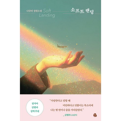 소프트 랜딩:나규리 장편소설, 나규리 저, 마이디어북스