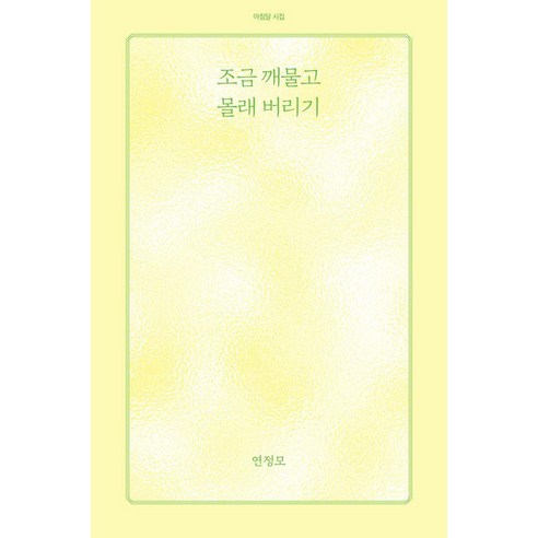 [아침달]조금 깨물고 몰래 버리기 - 아침달 시집 55, 상품명, 상세설명 참조