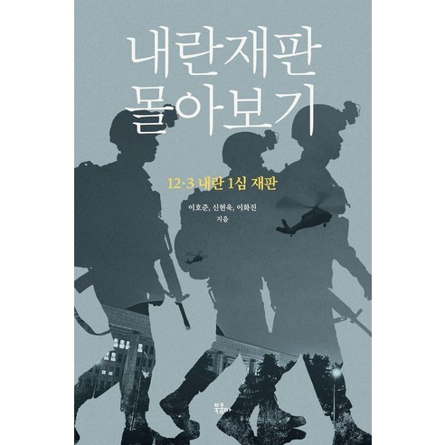 내란재판 몰아보기:12·3 내란 1심 재판, 상세내용 참조