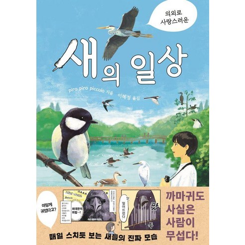 의외로 사랑스러운 새의 일상, 상세 상세
