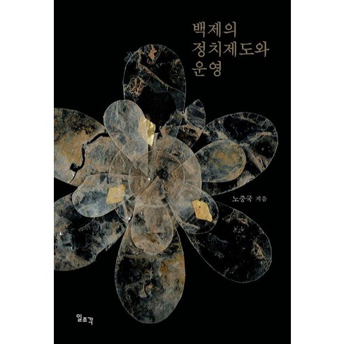 백제의 정치제도와 운영, 기타