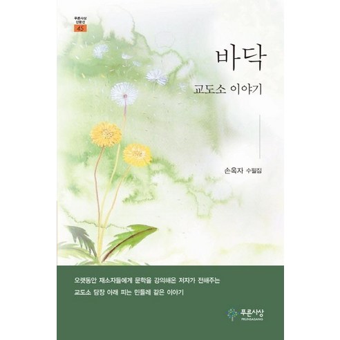 바닥 : 교도소 이야기 - 산문선 45, 손옥자, 푸른사상