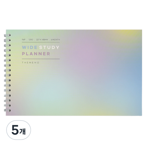 건망증 더메모 와이드 스터디플래너 6개월, 오로라, 5개