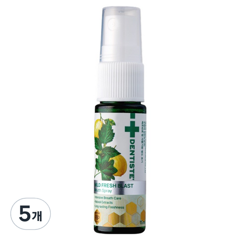 덴티스테 마일드 후레쉬 블라스트 마우스 스프레이, 15ml, 5개