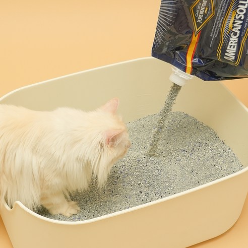아메리칸솔루션 벤토나이트 고양이 모래 이미지 4
