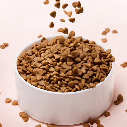 윌로펫 시니어 강아지 뉴트리탑 소프트사료 후기 분석 - 급여 전후 기호성 테스트