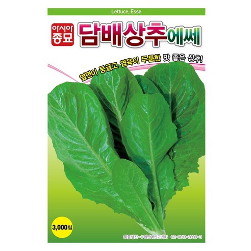 아시아종묘 담배상추에쎄 씨앗 3000립, 1개
