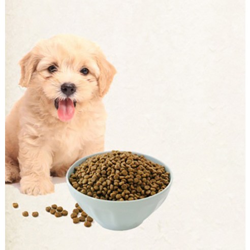 건강백서 강아지 기능성 사료 후기 분석 - 사료 알갱이 크기 비교