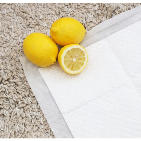 페츠모아 냄새잡는 요술 배변패드 엣지 레몬향 후기 분석 - 흡수체 성능 비교