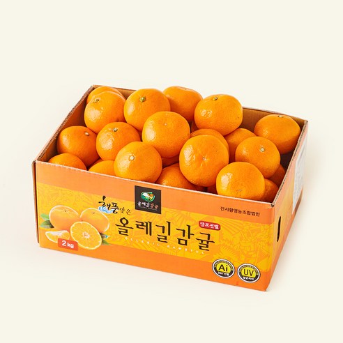 올레길 AI 당도선별 12brix 감귤, 2kg(로열과), 1개