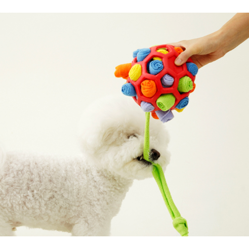 댕댕이의 행복을 위한 노즈워크 볼, 지금 바로 만나보세요!