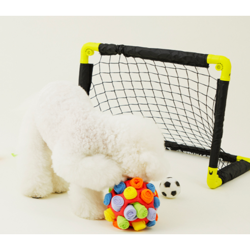 댕댕이의 행복을 위한 노즈워크 볼, 지금 바로 만나보세요!