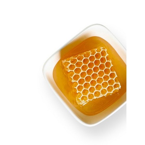 콤비타 UMF 5+ 마누카꿀 250g, 1개 솔직 후기 | 실사용자 리뷰 분석 - 상품 이미지 2
