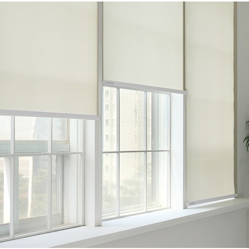 창안애 스탠다드 롤스크린: 심플함 속에 숨겨진 완벽함