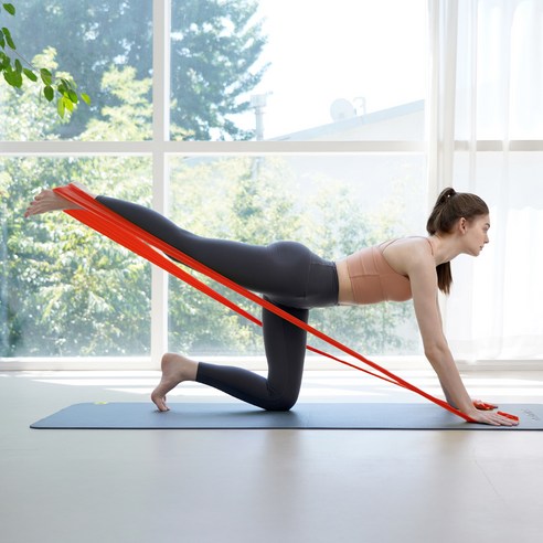 세라밴드 오리지널 1단계 + 운동매뉴얼 이미지 4