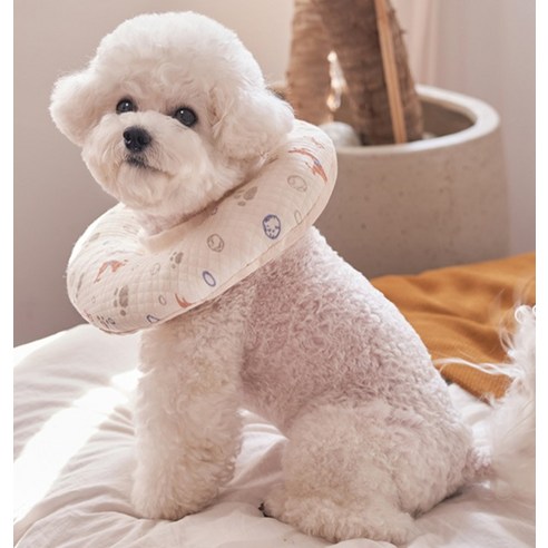 도그아이 반려동물 목화솜 쿠션 넥카라 솔직 후기 | 실제 사용자 리뷰 총정리 - 상품 이미지 4