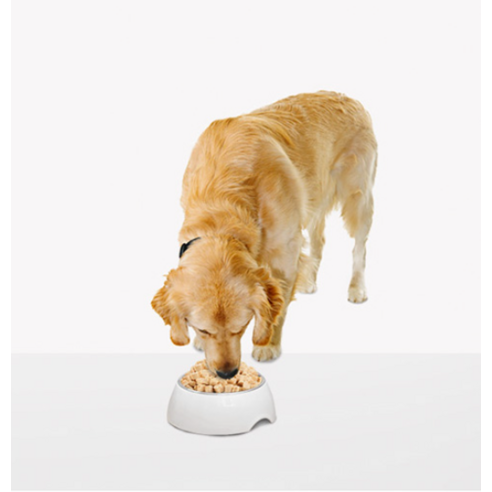 허글 반려동물 에프디바이츠 동결건조간식 솔직 후기 | 실제 사용자 리뷰 총정리 - 상품 이미지 4