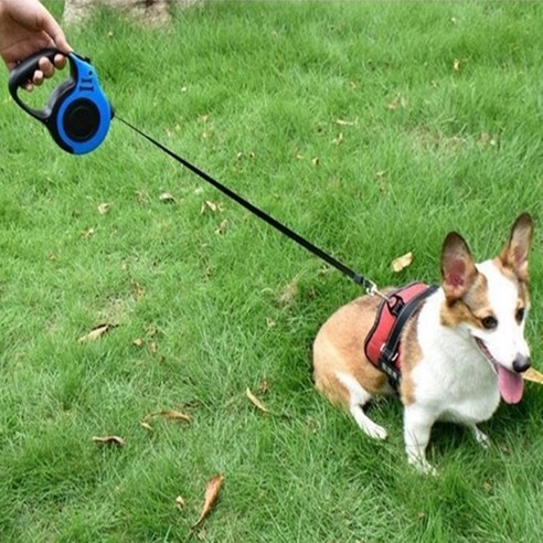 더뉴커머스 꼬임방지 튼튼한 강아지 자동 리드줄 솔직 후기 | 실제 사용자 리뷰 총정리 - 상품 이미지 3