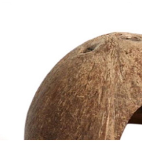 소동물 코코넛 은신처 솔직 후기 | 실제 사용자 리뷰 총정리 - 상품 이미지 4