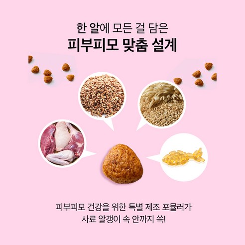마이펫닥터 강아지 시그니처 유기농 기능성 사료 솔직 후기 | 실제 사용자 리뷰 총정리 - 상품 이미지 3