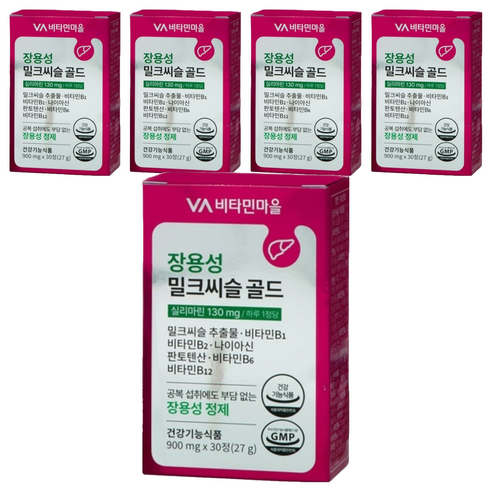 비타민마을 장용성 밀크씨슬 골드 27g, 30정, 5개