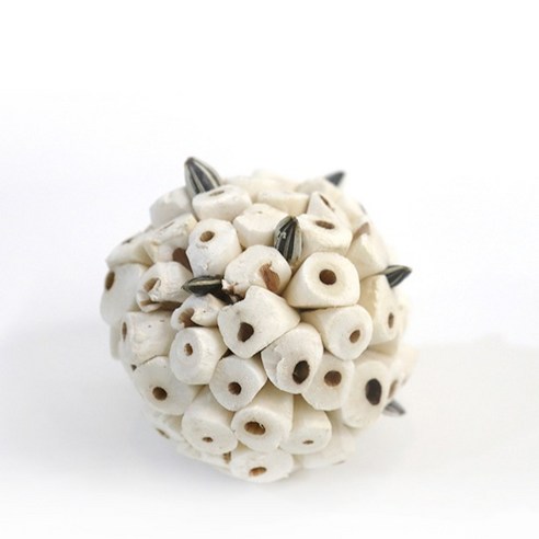 솔라볼 앵무새 장난감 4cm 솔직 후기 | 실제 사용자 리뷰 총정리 - 상품 이미지 4