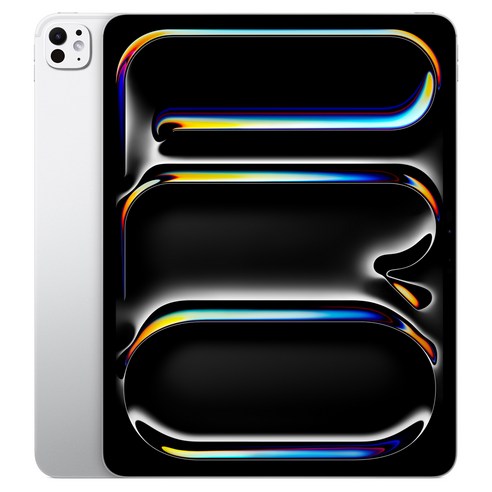Apple 2025 아이패드 프로 13(M5 모델) 스탠다드 글래스, 실버, 1TB, Wi-Fi+Cellular
