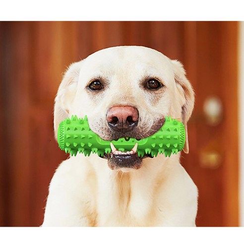 써티이얼즈 강아지 삑삑이 셀프칫솔 장난감 이미지 2