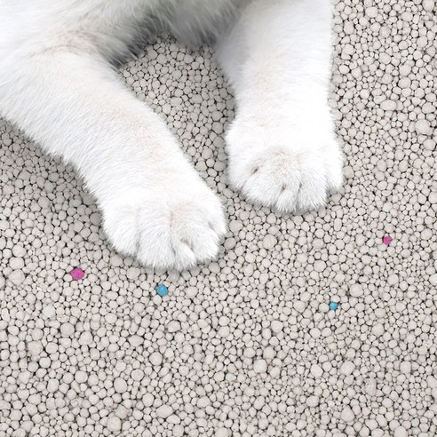 탐사 벤토나이트 응고형 고양이 모래 이미지 3