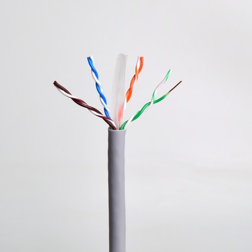 홈플래닛 고급형 UTP CAT6 랜선 랜케이블 10M 이미지 4
