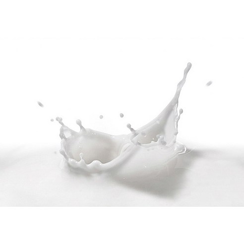 에버그로 강아지 펫밀크 이미지 4