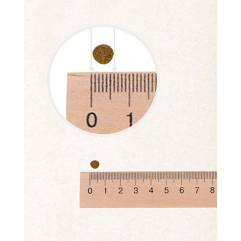 건강백서 강아지 건강한 피부 기능성 사료 솔직 후기 | 실제 사용자 리뷰 총정리 - 상품 이미지 4