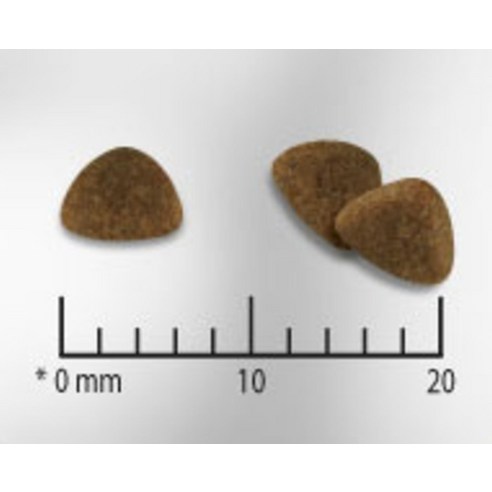 우리 아깽이 밥 때문에 속상할 일은 이제 그만