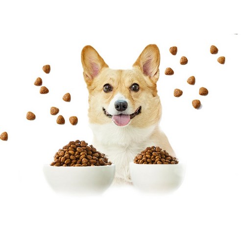 마이펫닥터 강아지 시그니처 유기농 기능성 사료 이미지 3