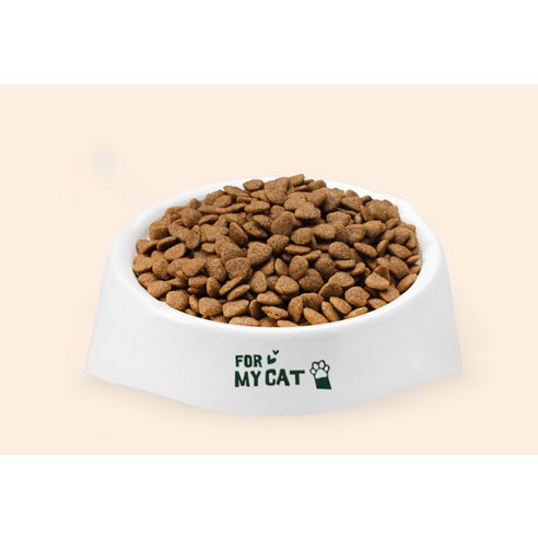 동원뉴트리플랜 전연령 고양이 플러스 건식사료 솔직 후기 | 실제 사용자 리뷰 총정리 - 상품 이미지 3