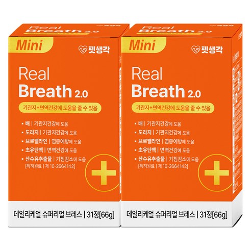 펫생각 강아지 데일리케얼 영양제, 31정, 호흡기/기관지, 2개