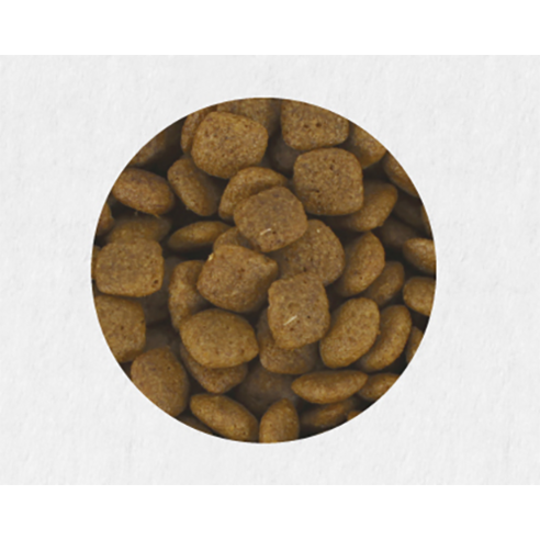 네츄럴코어 강아지 센시티브 케어 기능성 사료 작은입자 솔직 후기 | 실제 사용자 리뷰 총정리 - 상품 이미지 4