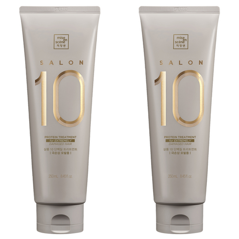 미쟝센 살롱 10 헤어트리트먼트 극손상모발용, 250ml, 2개