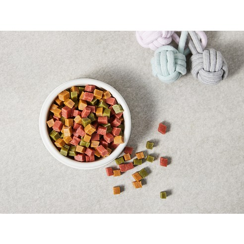 탐사 강아지 리얼 촉촉 큐브 져키 이미지 4