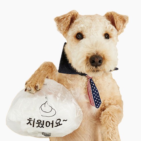 가성비와 편리함이 돋보이는 반려견 배변 처리의 필수품