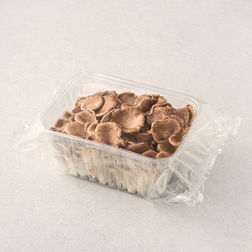 친환경 고기느타리버섯, 500g, 1개