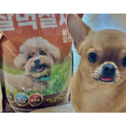 잘먹잘싸 강아지 건식사료 솔직 후기 | 실제 사용자 리뷰 총정리 - 상품 이미지 4