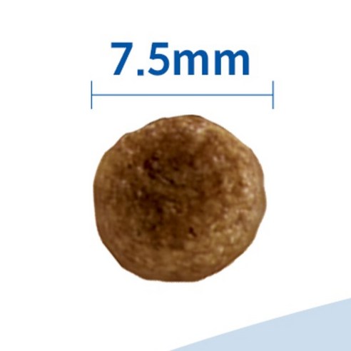 힐스사이언스다이어트 강아지 어덜트 11+ 스몰 앤 미니 기능성 사료 이미지 3