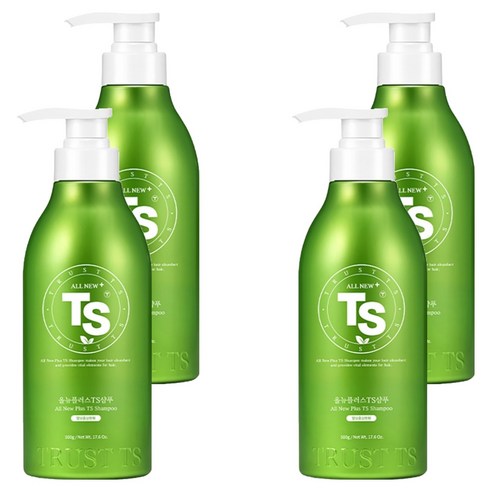 TS 올뉴 플러스 티에스 샴푸, 500g, 4개