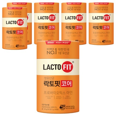 락토핏 코어 유산균 60p 120g, 6개 솔직 후기 | 실사용자 리뷰 분석 - 상품 이미지 1