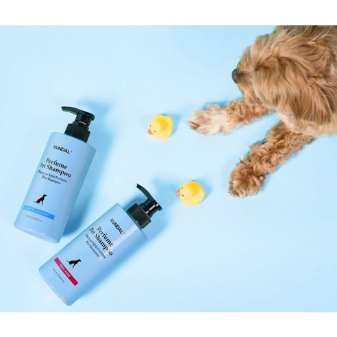 쿤달 네이처 마일드 퍼퓸 애견 샴푸 화이트런더리향 솔직 후기 | 실제 사용자 리뷰 총정리 - 상품 이미지 2