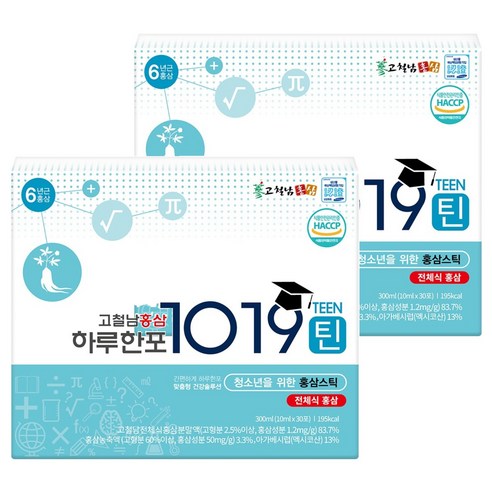 고철남홍삼 하루한포 1019틴 홍삼 스틱, 300ml, 2개